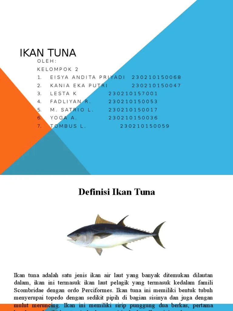 Ikan Tuna | PDF