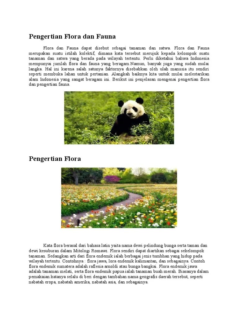 Fauna yang hanya ada di daerah regional tertentu contohnya orang utan kalimantan (pongo pygmaeus) . Pengertian Flora Dan Fauna Pdf