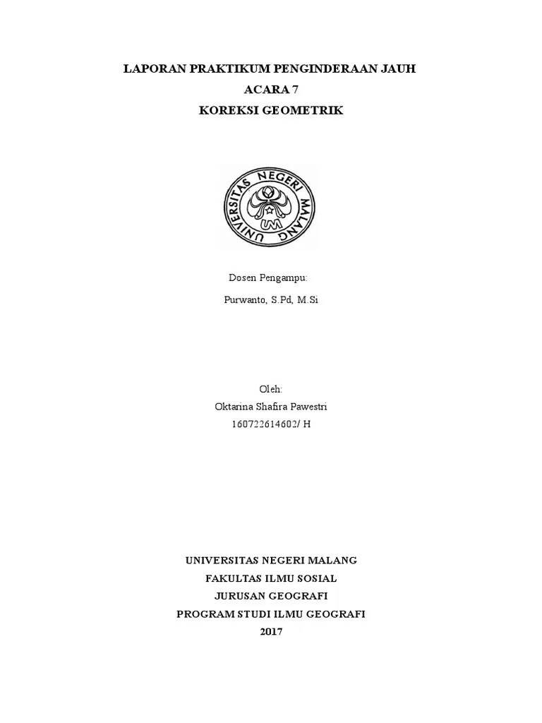 Koreksi Geometrik | PDF