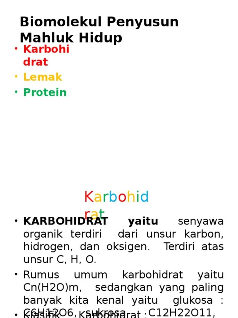 Klasifikasi Biomolekul Utama Penyusun Organime | PDF