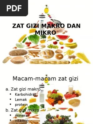 Gizi Makro Dan Mikro | PDF