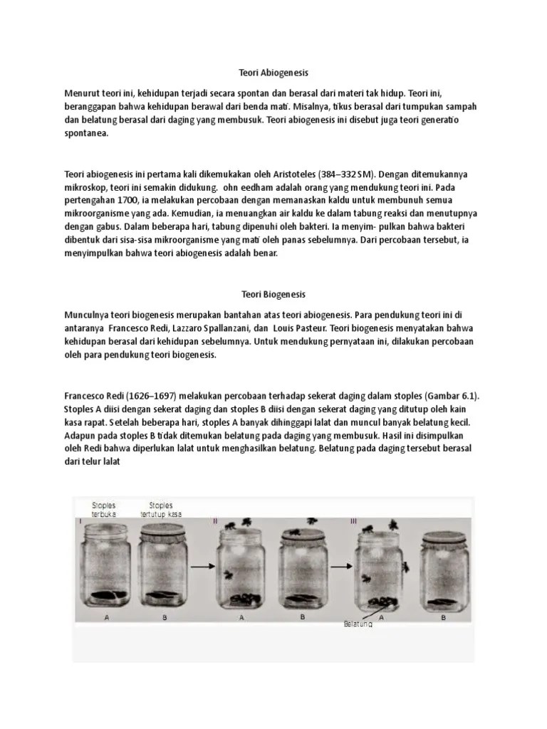 Teori Abiogenesis | PDF