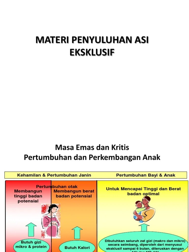 MATERI PENYULUHAN ASI EKSKLUSIF Bok 16 | PDF