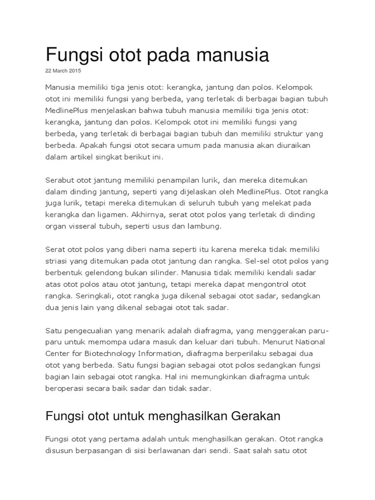 Otot adalah alat gerak yang berfungsi menggerakkan tulang. Fungsi Otot Pada Manusia Pdf