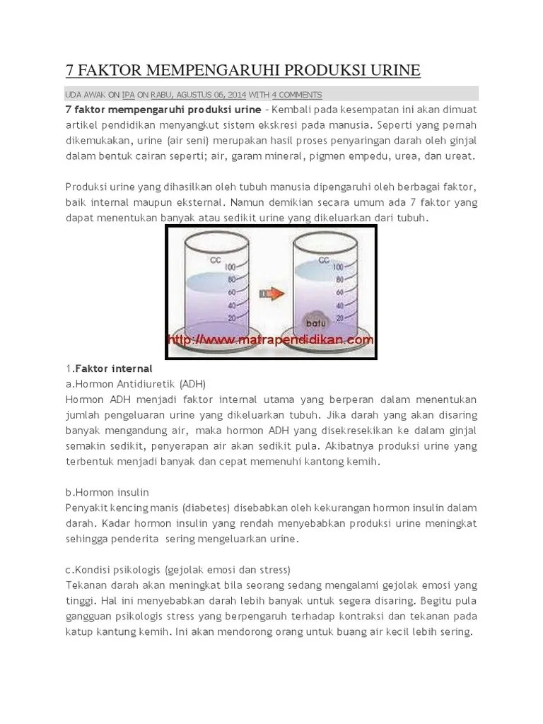 7 Faktor Mempengaruhi Produksi Urine | PDF