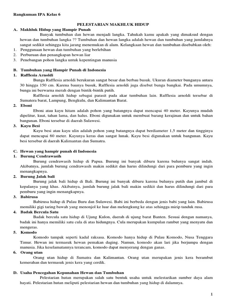 Rangkuman Materi Ipa Kelas 6 Semester 2 – Nasi