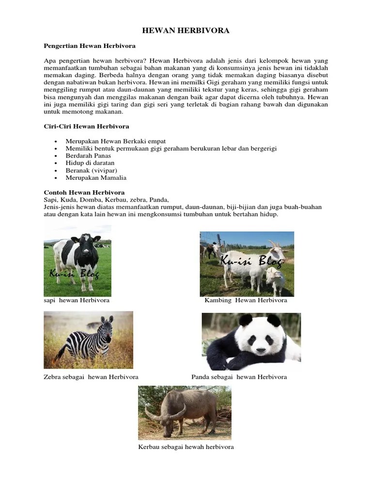 Hewan Herbivora | PDF