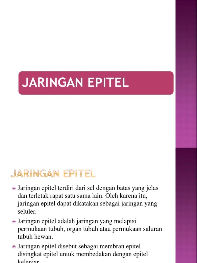 Jaringan Epitel | PDF