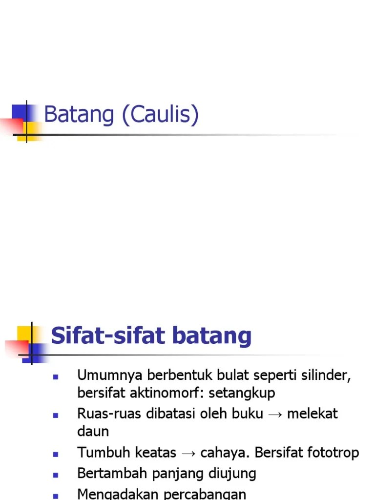 Batang (Caulis) | PDF
