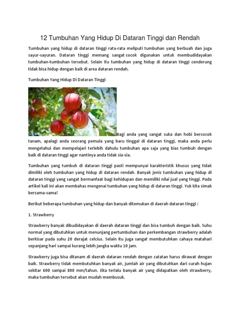12 Tumbuhan Yang Hidup Di Dataran Tinggi Dan Rendah | PDF