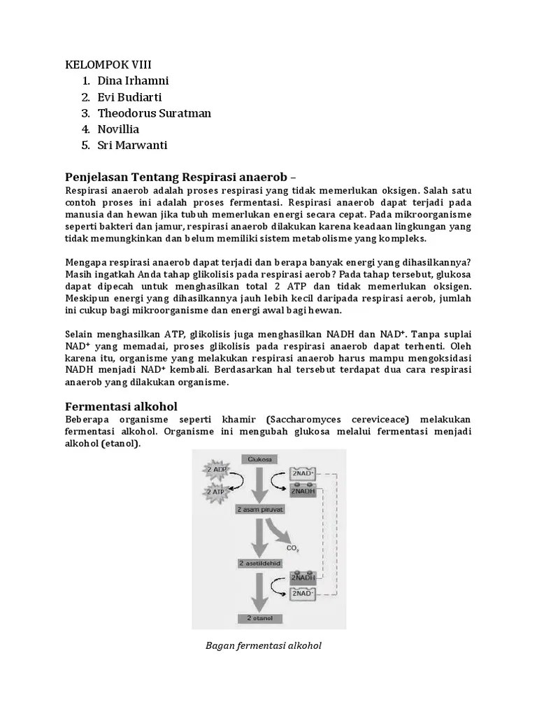 Respirasi An Aerob | PDF