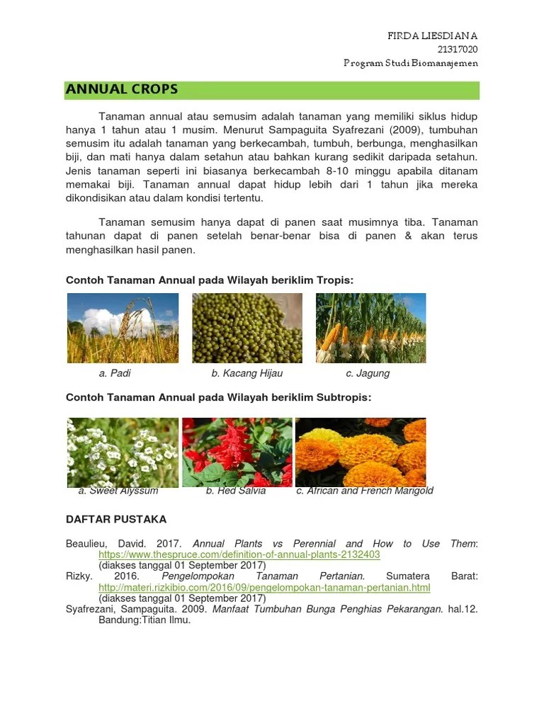 Tugas 2. Karakteristik Tumbuhan - Firda Liesdiana 21317020 | PDF