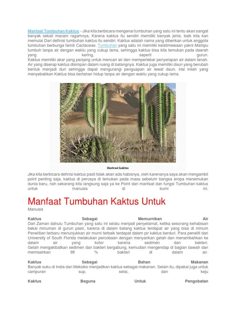 Manfaat Tumbuhan Kaktus | PDF