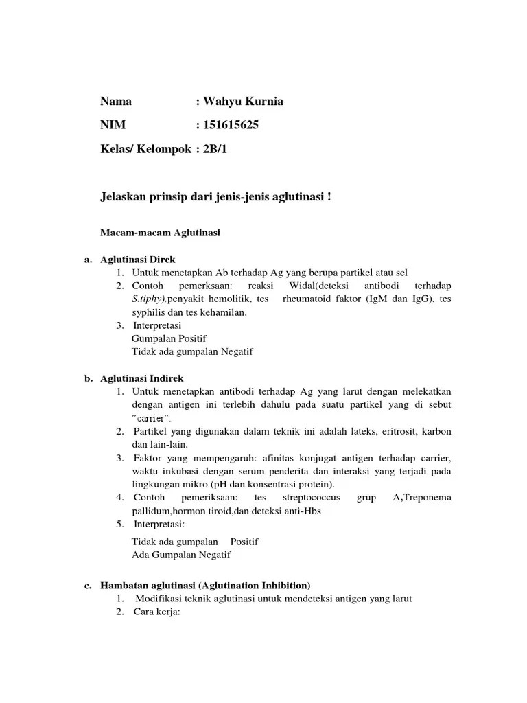 Tugas Individu (Jenis Aglutinasi) | PDF