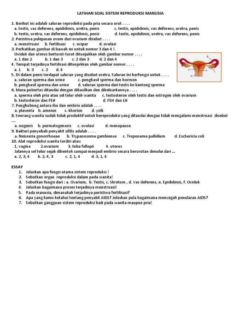 Untuk lebih jelasnya, mari belajar tentang sistem . Latihan Soal Sistem Reproduksi Manusia Pdf