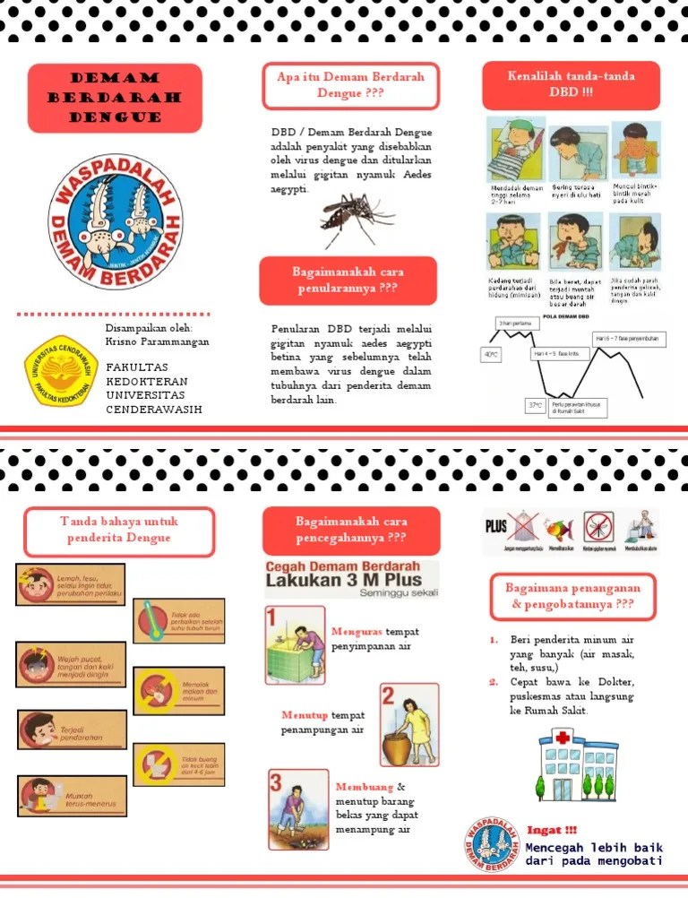 Leaflet Penyuluhan DBD KrisnoP | PDF