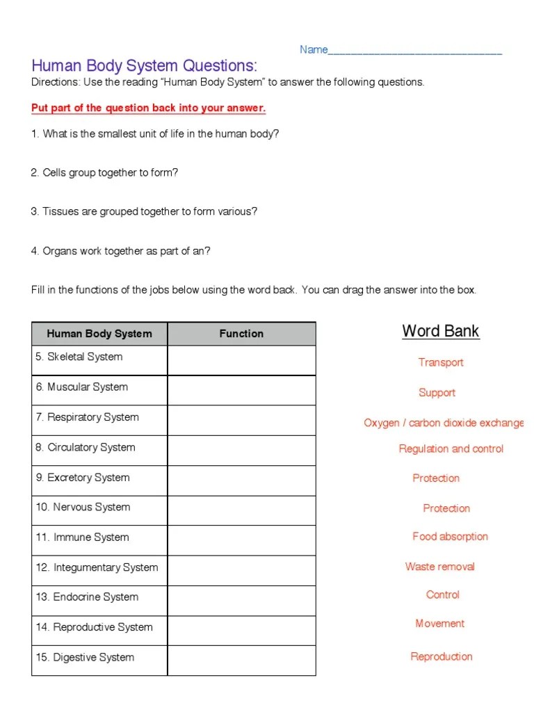 Since ancient times, humankind has sought to understand the g. Body Systems Worksheet Pdf Human Body Zoology