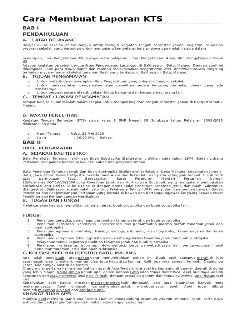 (13) menyusun laporan atau reviuw. Cara Membuat Laporan Kts Pdf