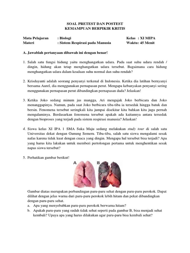 Soal Essay Sistem Ekskresi Kelas Xi – Nasi