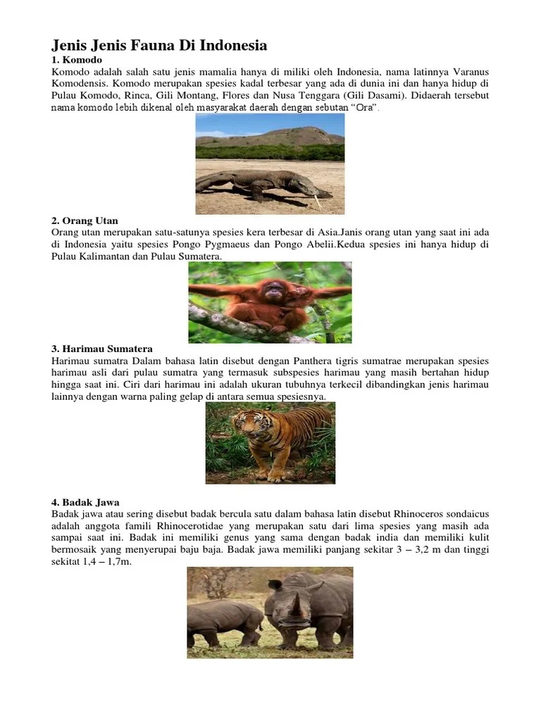 Makalah Flora Dan Fauna Di Asia Tenggara - Contoh Makalah