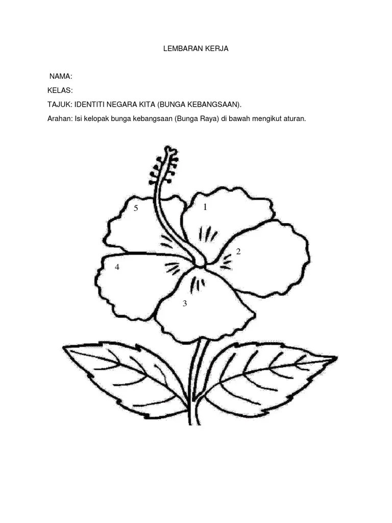 Anda boleh menghiasi dewan di tadika dengan pelbagai peranti dan objek. Lembaran Kerja Bunga Raya Pdf