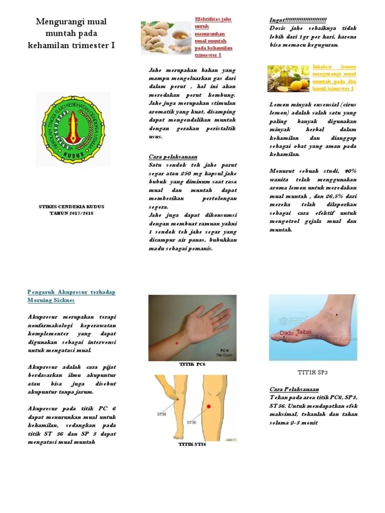 Cukupi kebutuhan cairan · 3. Leaflet Mengurangi Mual Muntah Pdf