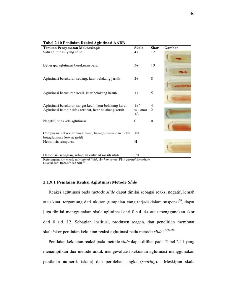 Skala Aglutinasi | PDF