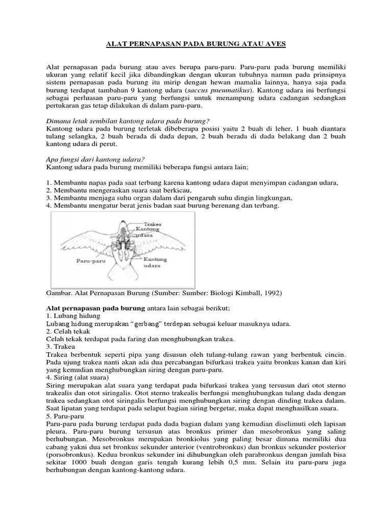 Alat Pernapasan Pada Burung Atau Aves | PDF