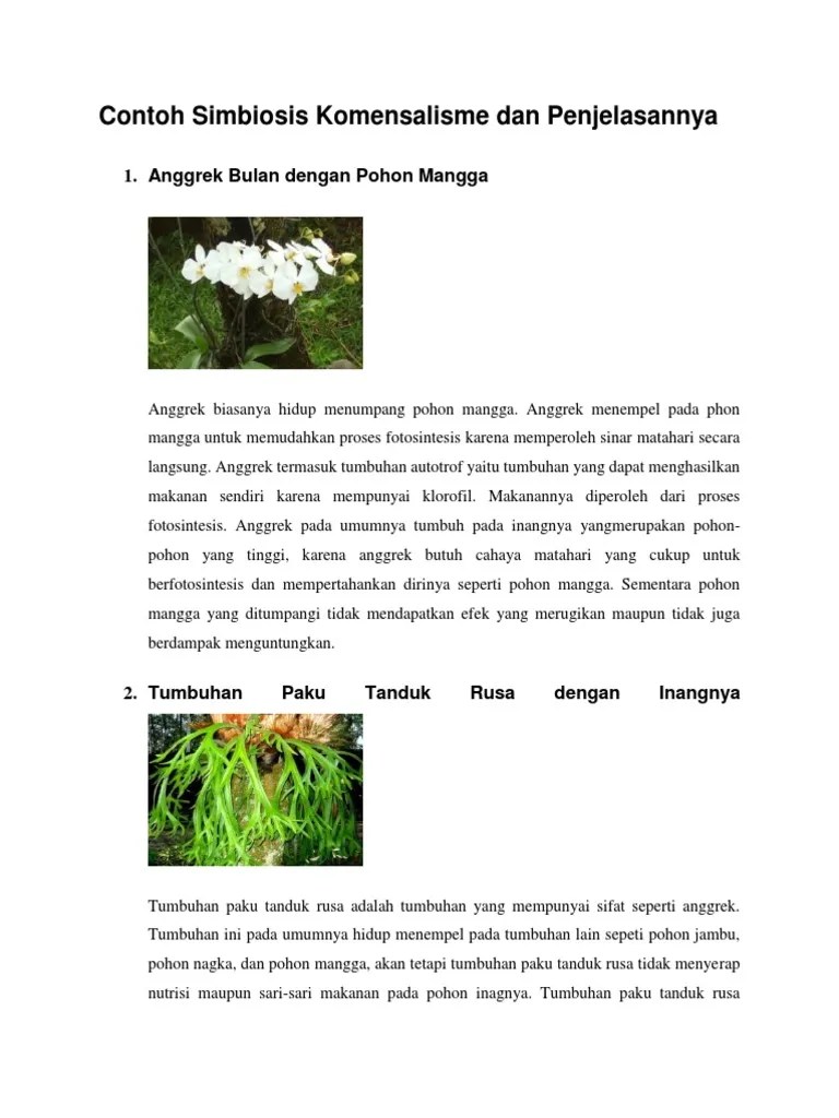 Contoh Simbiosis Komensalisme Dan Penjelasannya | PDF