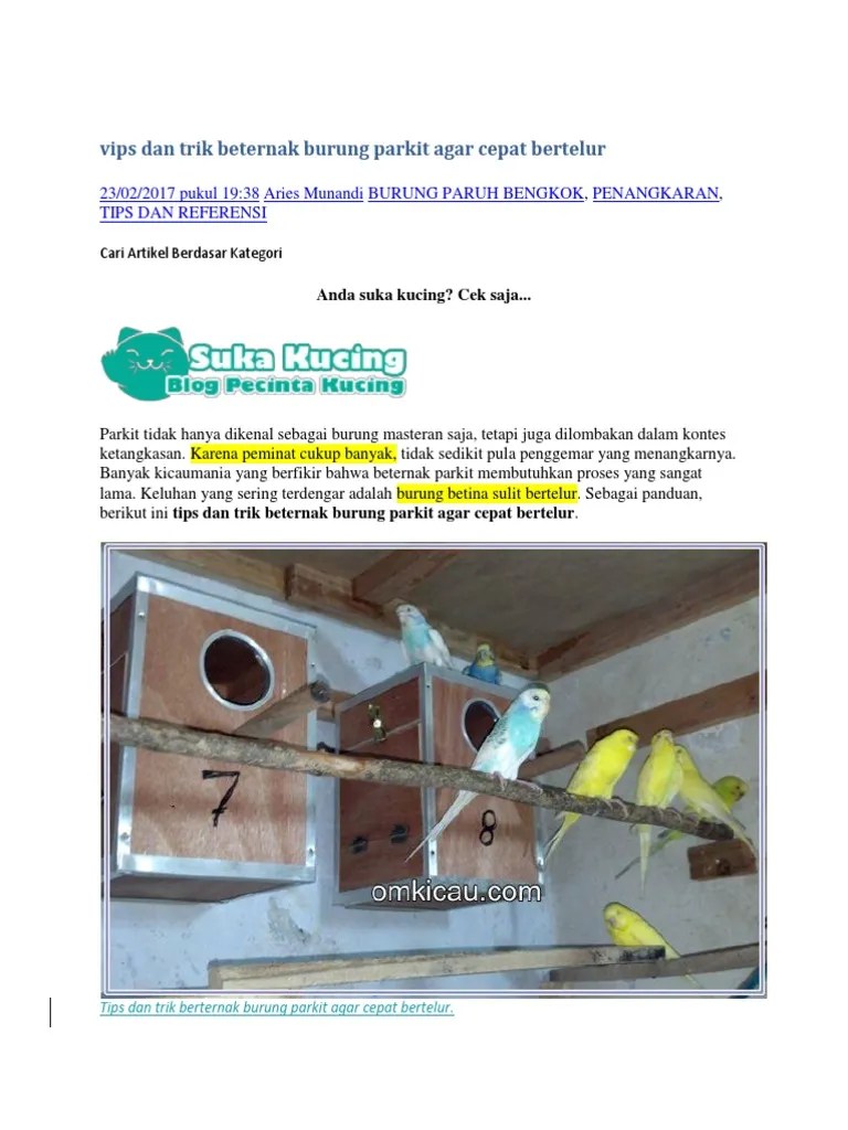 Bisnis Besar BM Parkit | PDF