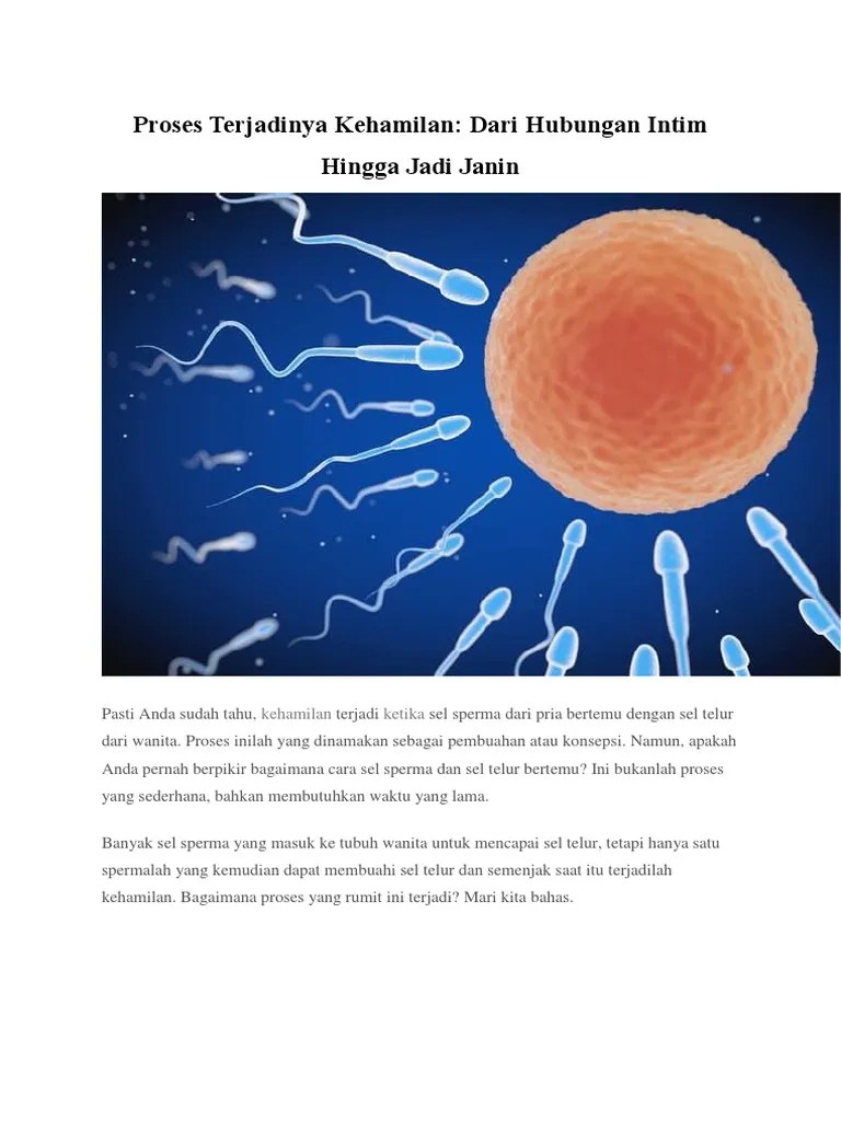 Sperma Yang Bagaimanakah Yang Mampu Membuahi Sel Telur | Seputar Buah