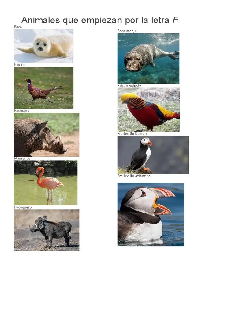 Es oriunda a las zonas cálidas y húmedas de áfrica, asia del sur y de las islas del pacifico. 33 + animales que empiecen con letra f