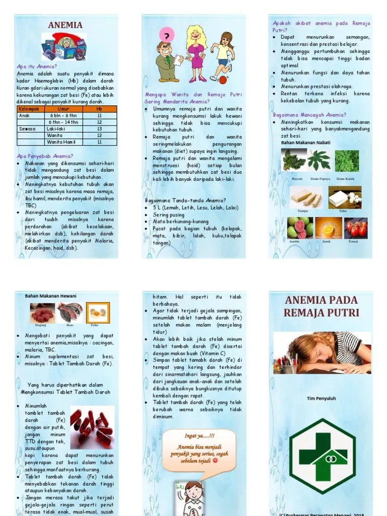 Leaflet Anemia Pada Remaja Putri | PDF