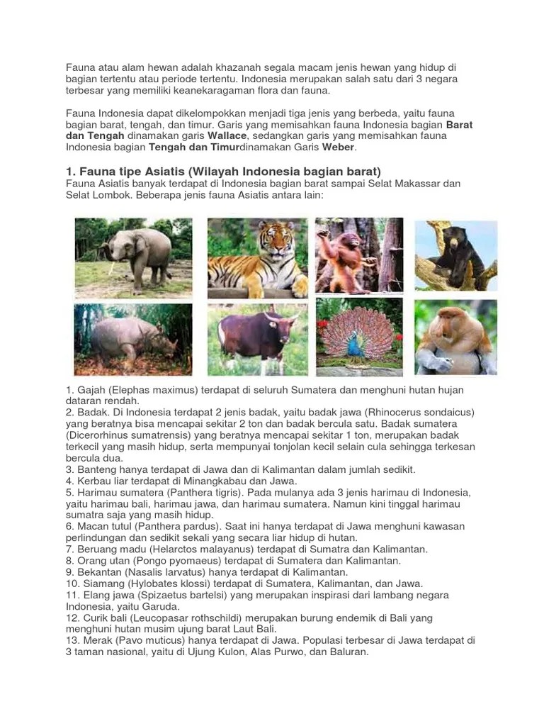 Jenis Fauna Di Indonesia Bagian Barat