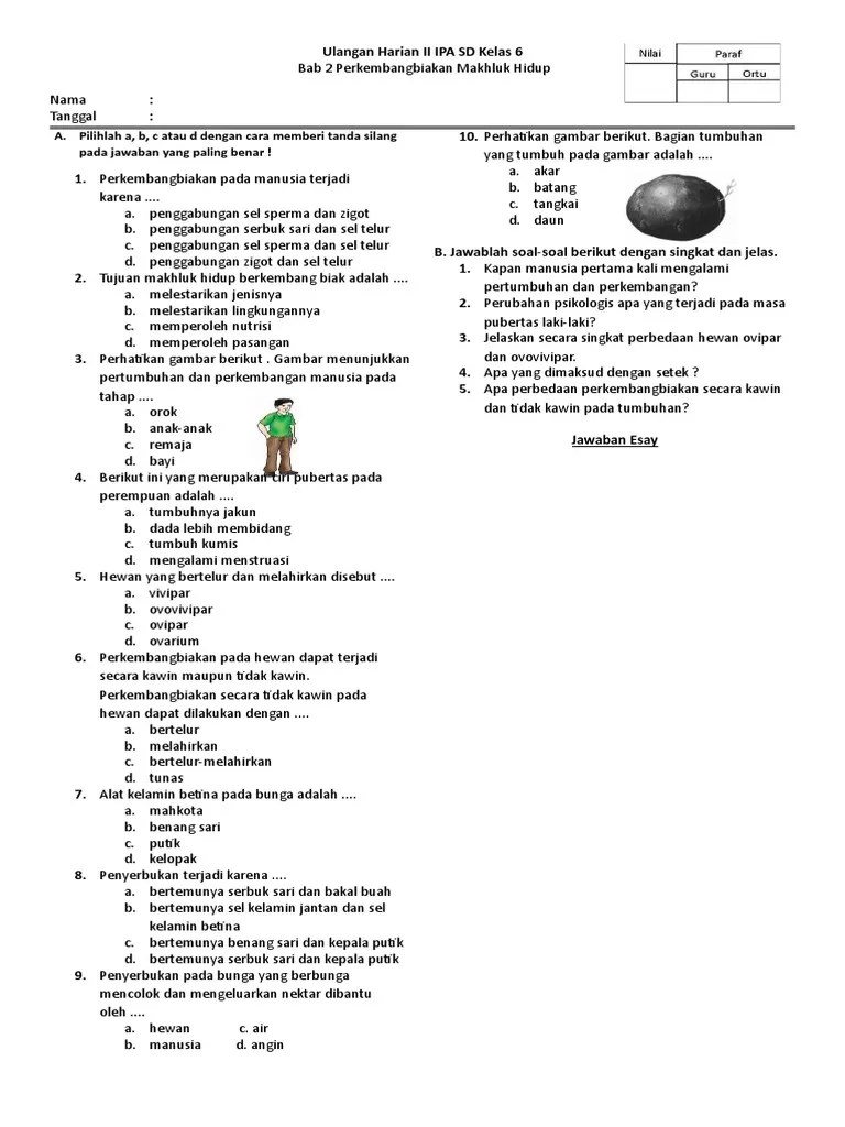 Senang belajar ipa ilmu pengetahuan alam sd kelas 6. Soal Ulangan Harian Ipa Kelas 6 Bab 2 Perkembangbiakan Makhluk Hidup