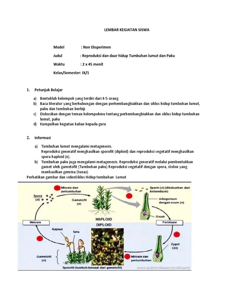 Siklus hidup tumbuhan lumut bersifat metagenesis, yang mana terjadi dua fase pergiliran keturunan sekaligus, yakni antara fase gametofit dengan fase sporofi. Lks Lumut Dan Paku Pdf