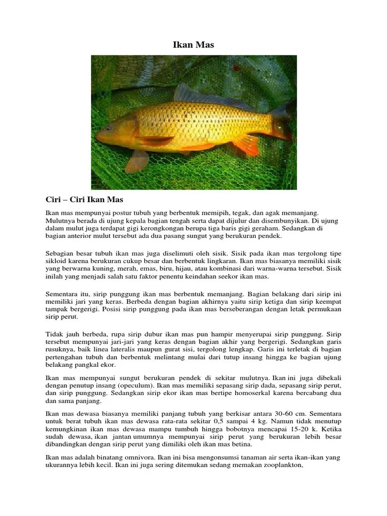 Ikan Mas | PDF