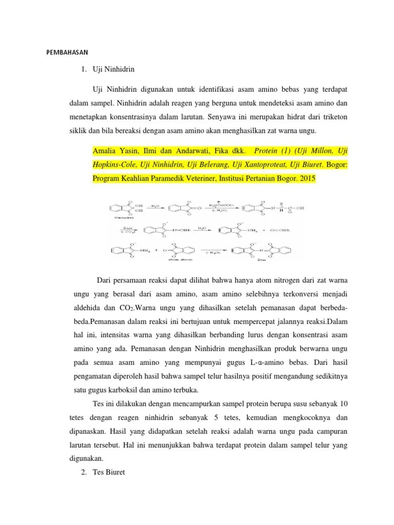 Pereaksi xantoproteat terbentuk warna jingga. Jurnal Uji Ninhidrin Pdf Kami