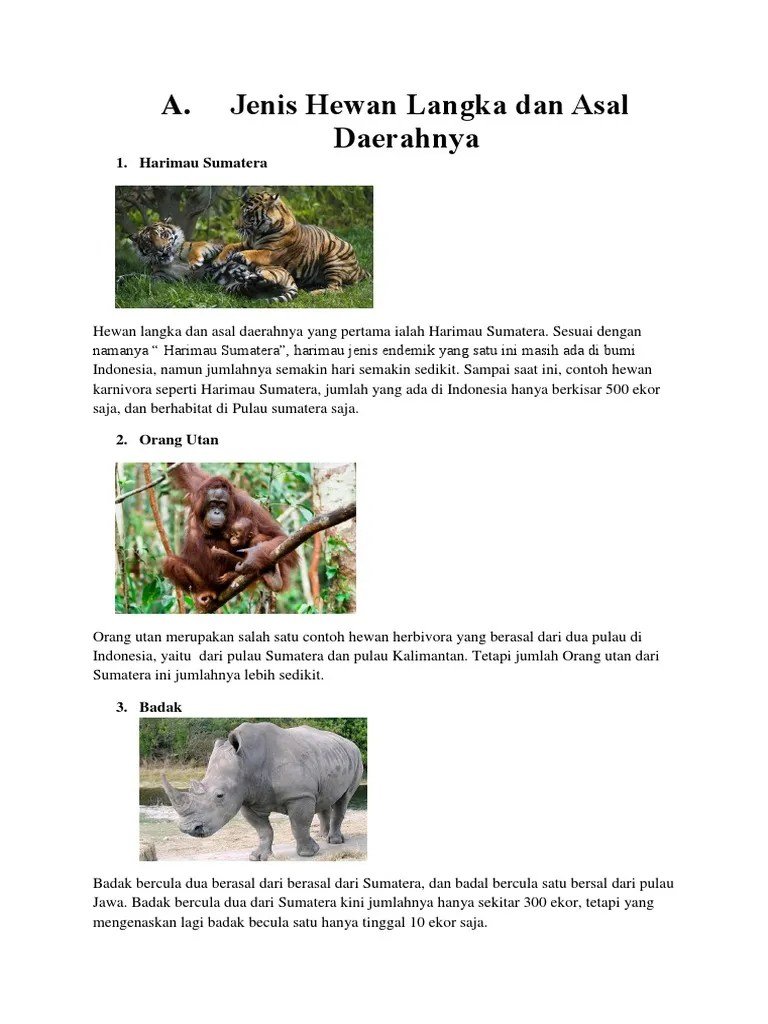 78+ Gambar Hewan Langka Dan Asalnya HD Terbaru - Gambar Hewan