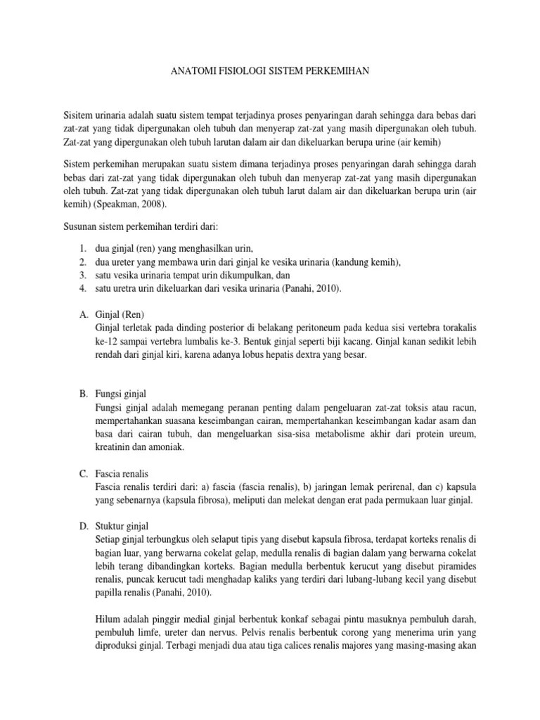 Anatomi Fisiologi Sistem Perkemihan | PDF