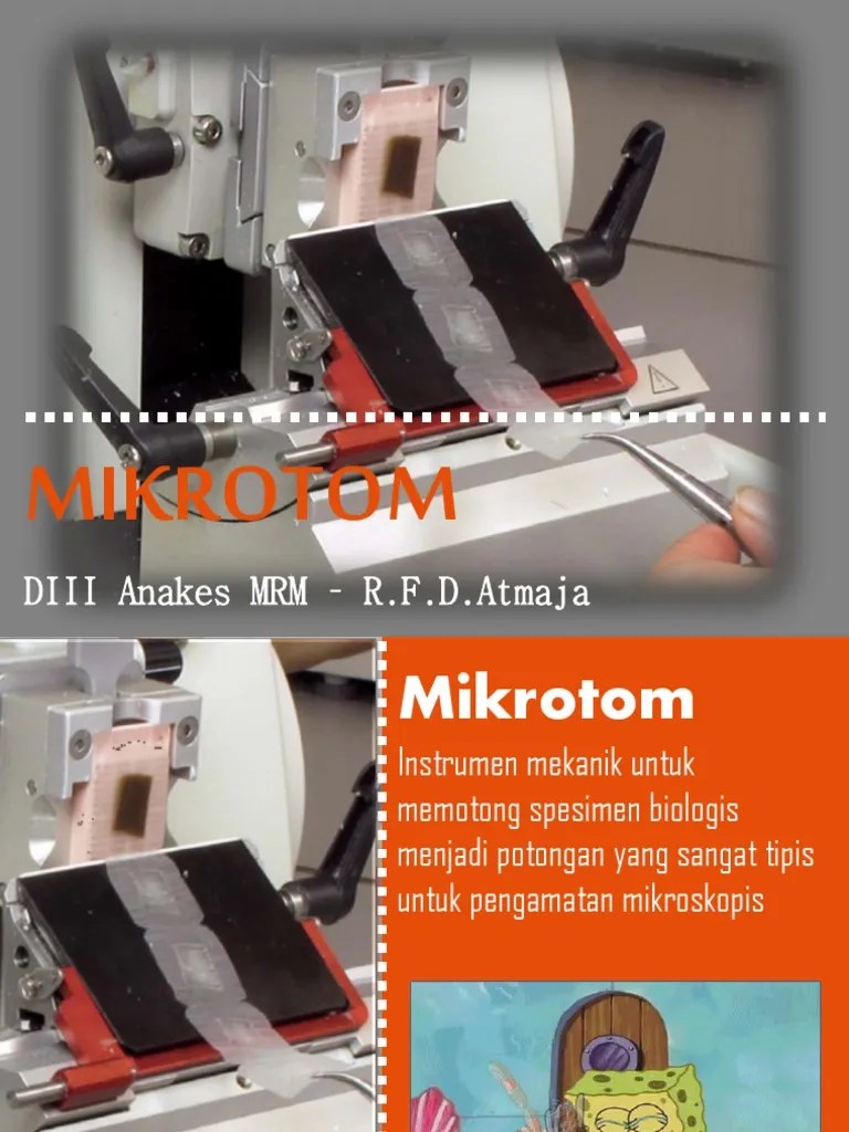 Inst3 Mikrotom PDF