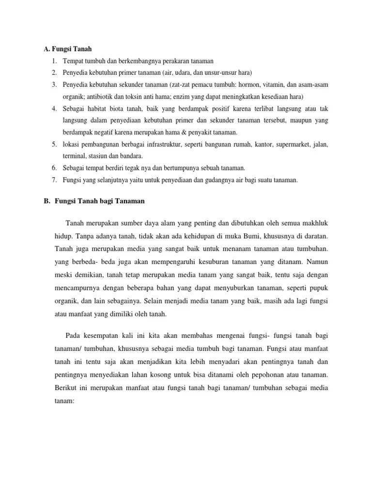 Fungsi Tanah | PDF