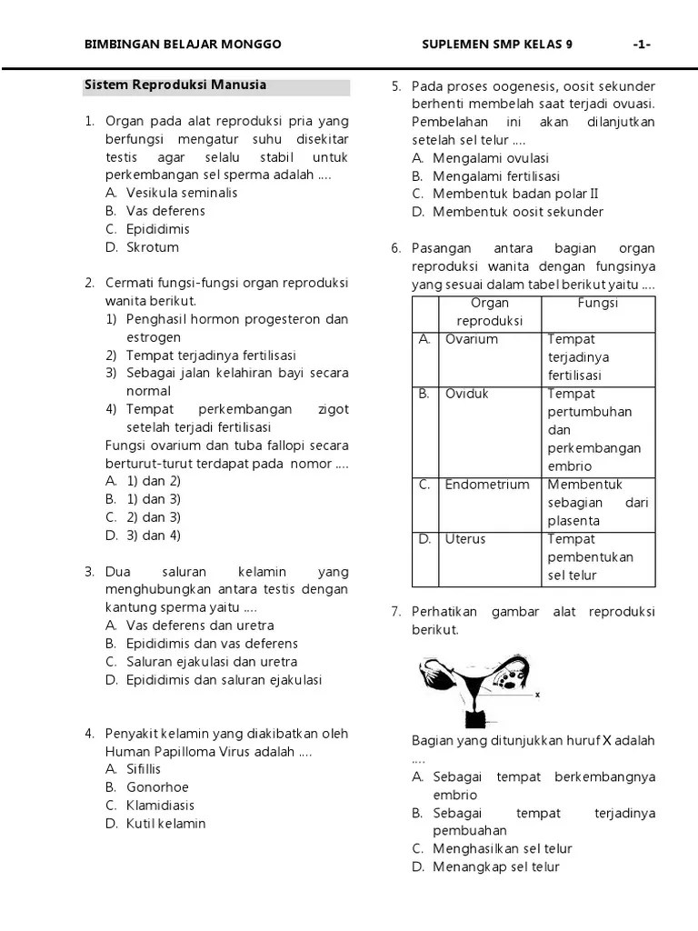Quiz your students on soal exercise bahasa inggris asking and offering for help.pdf using our fun classroom quiz game quizalize and personalize your . SOAL PAS SMP Kelas 9