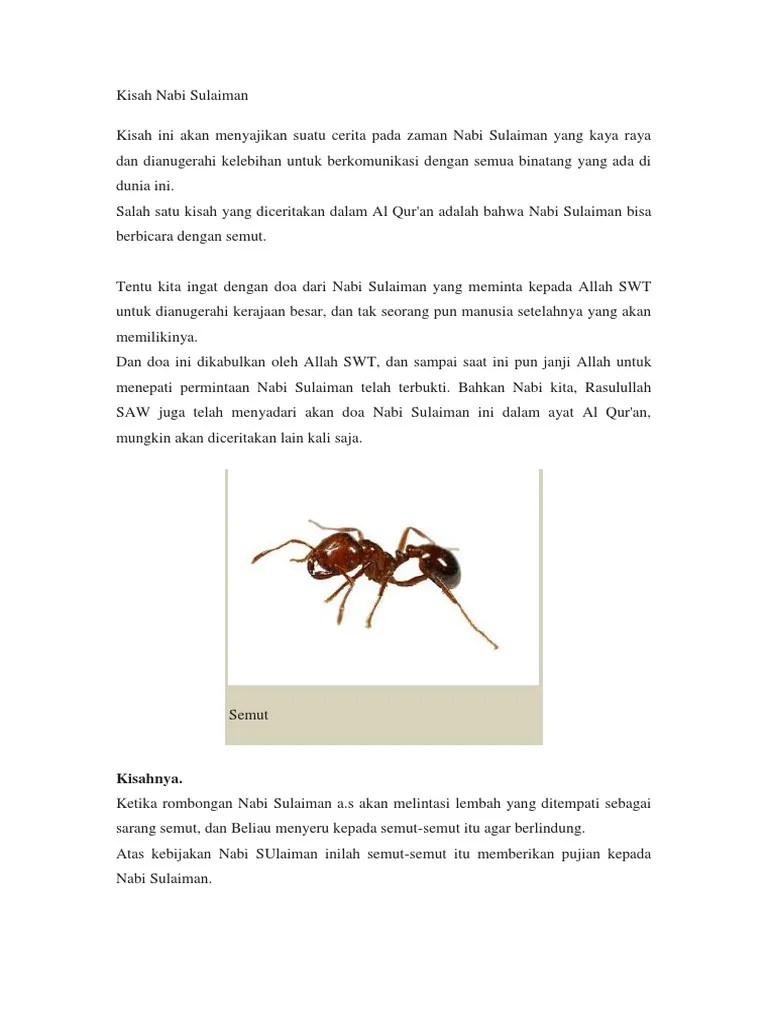 Kisah Nabi Sulaiman | PDF