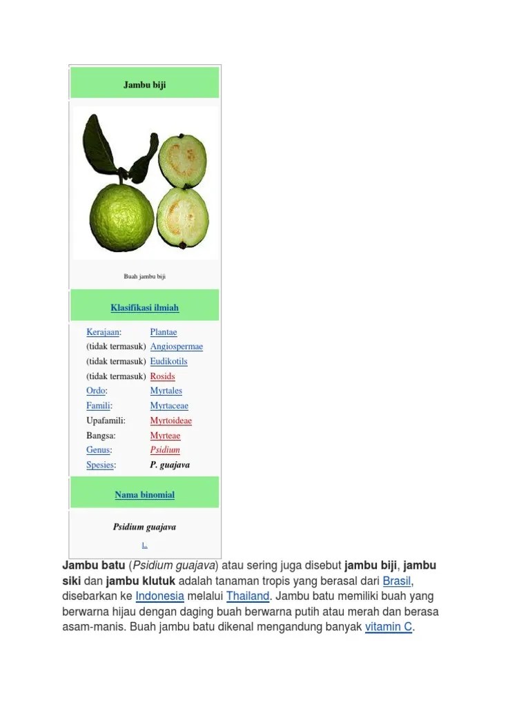 Jambu Biji | PDF