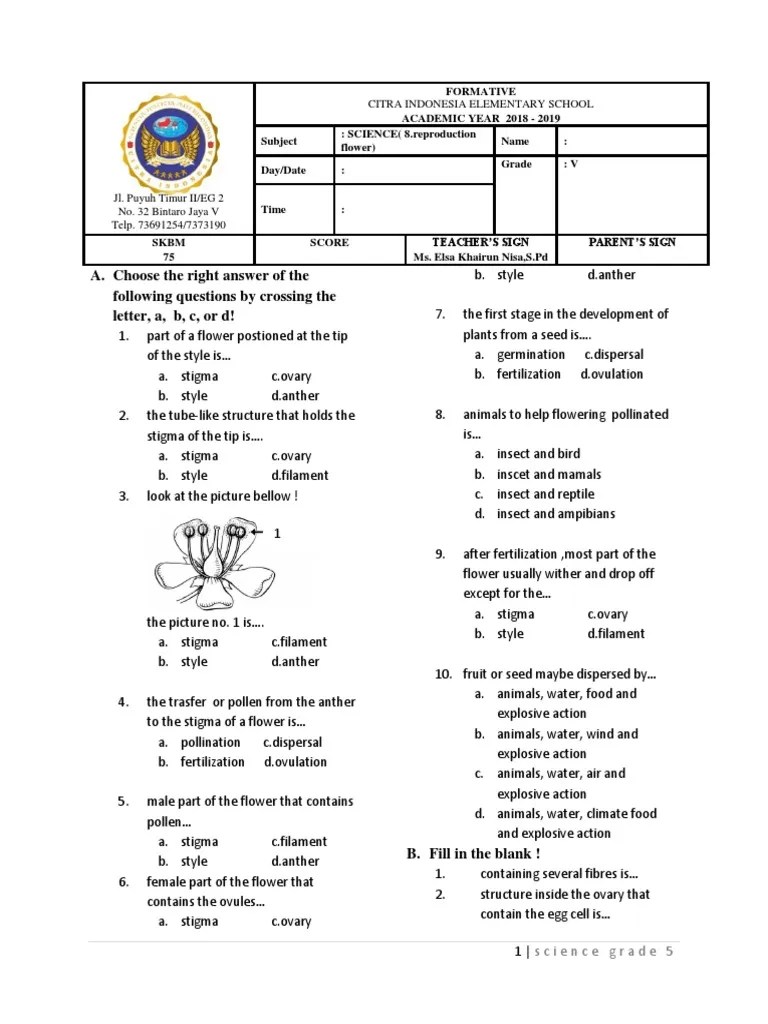 You are free to download and print . 8 Worksheet Reproduce Flowering Pdf Flowers Pollination