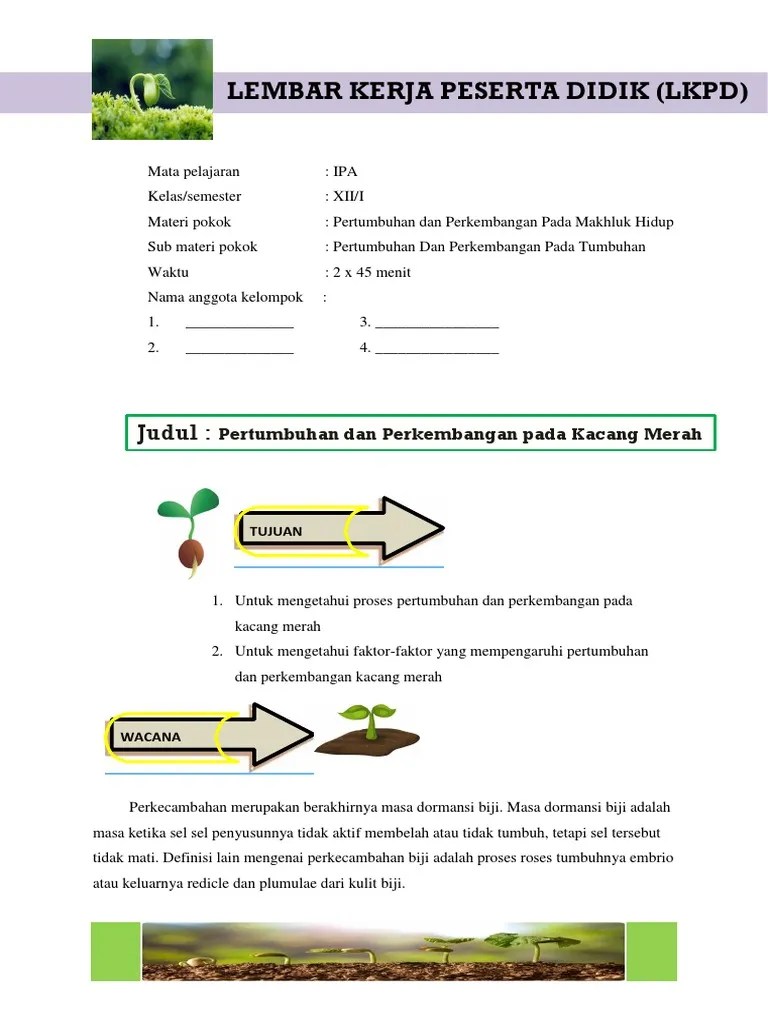 Pohon tumbuh dari kecil menjadi besar karena adanya proses pertumbuhan yang berkaitan dengan jaringan meristem dan adanya aktivitas kambium. Lkpd Praktikum Pertumbuhan Dan Pekembangan Pdf