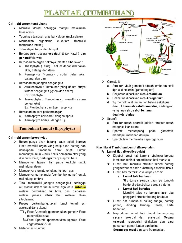 Check spelling or type a new query. Rangkuman Plantae