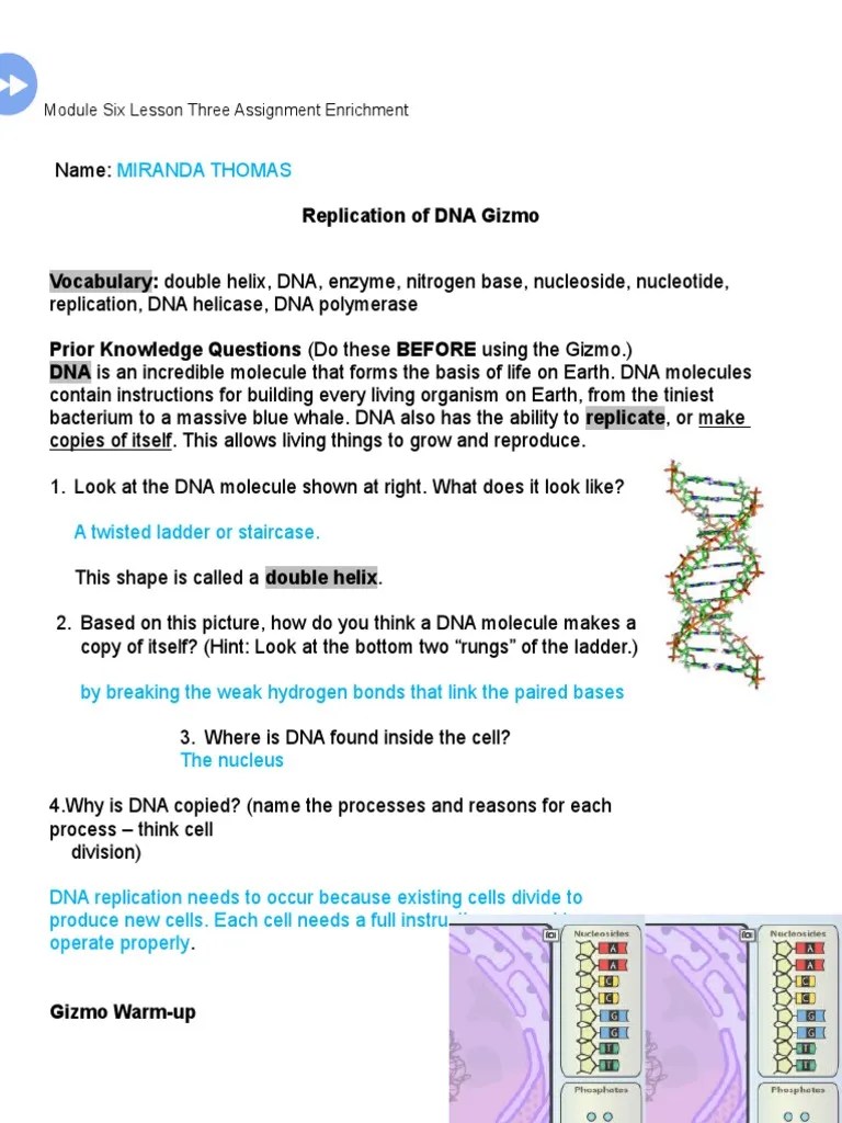 Free gizmos change each semester Biology Modulesixlessonthreepathwaythreeactivity Redo Nucleotides Dna