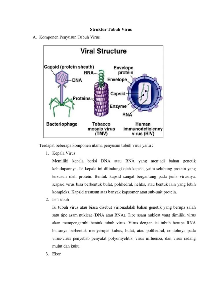 Struktur Tubuh Virus | PDF